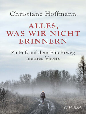 cover image of Alles, was wir nicht erinnern